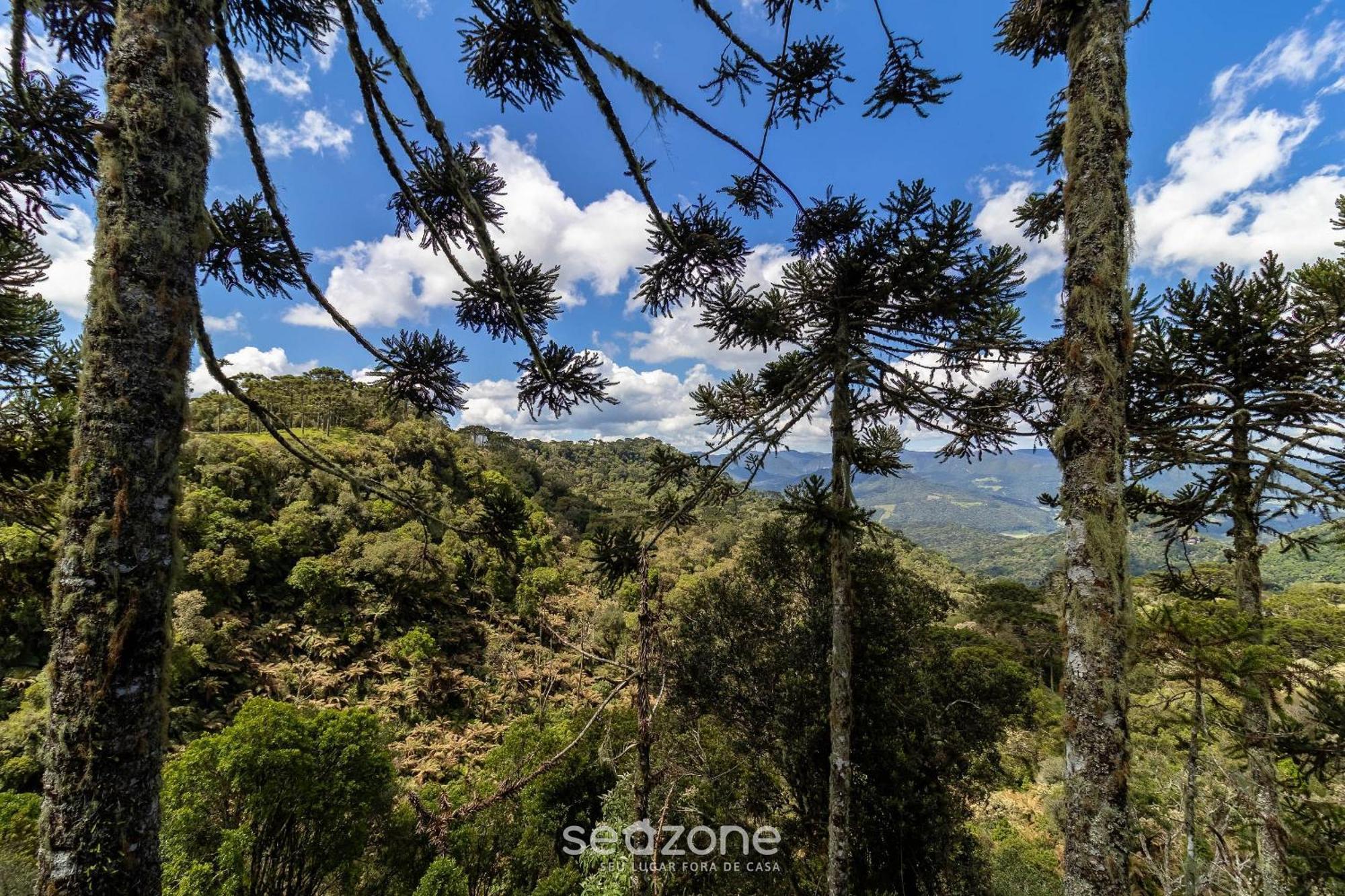 Chales Encantadores Em Urubici/Sc - Par ห้อง รูปภาพ